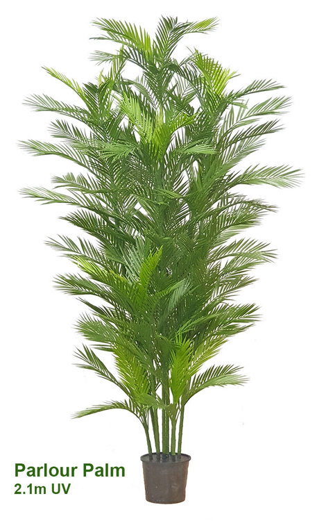 Articial Plants - Parlour Palm UV 2.1m