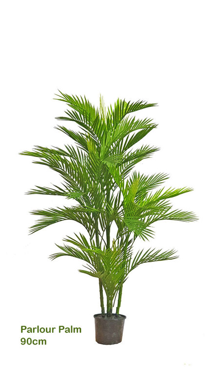 Articial Plants - Parlour Palm UV 0.9m