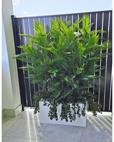 Outdoor Artificial Plants