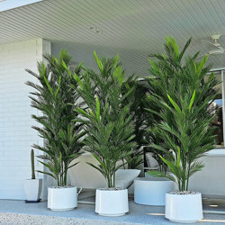 Parlour Palm UV 2.1m - artificial plants, flowers & trees - image 2