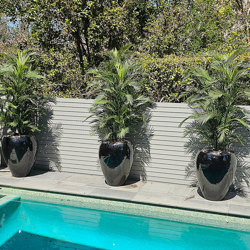 Parlour Palm UV 1.5m - artificial plants, flowers & trees - image 6
