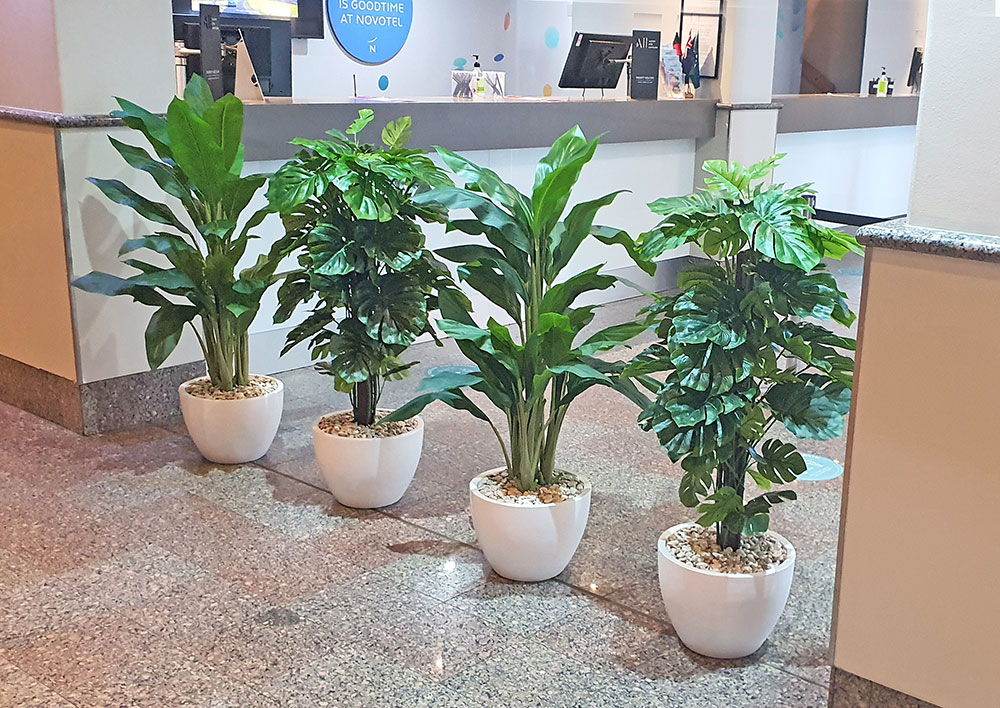 row of plants as divider by Reception