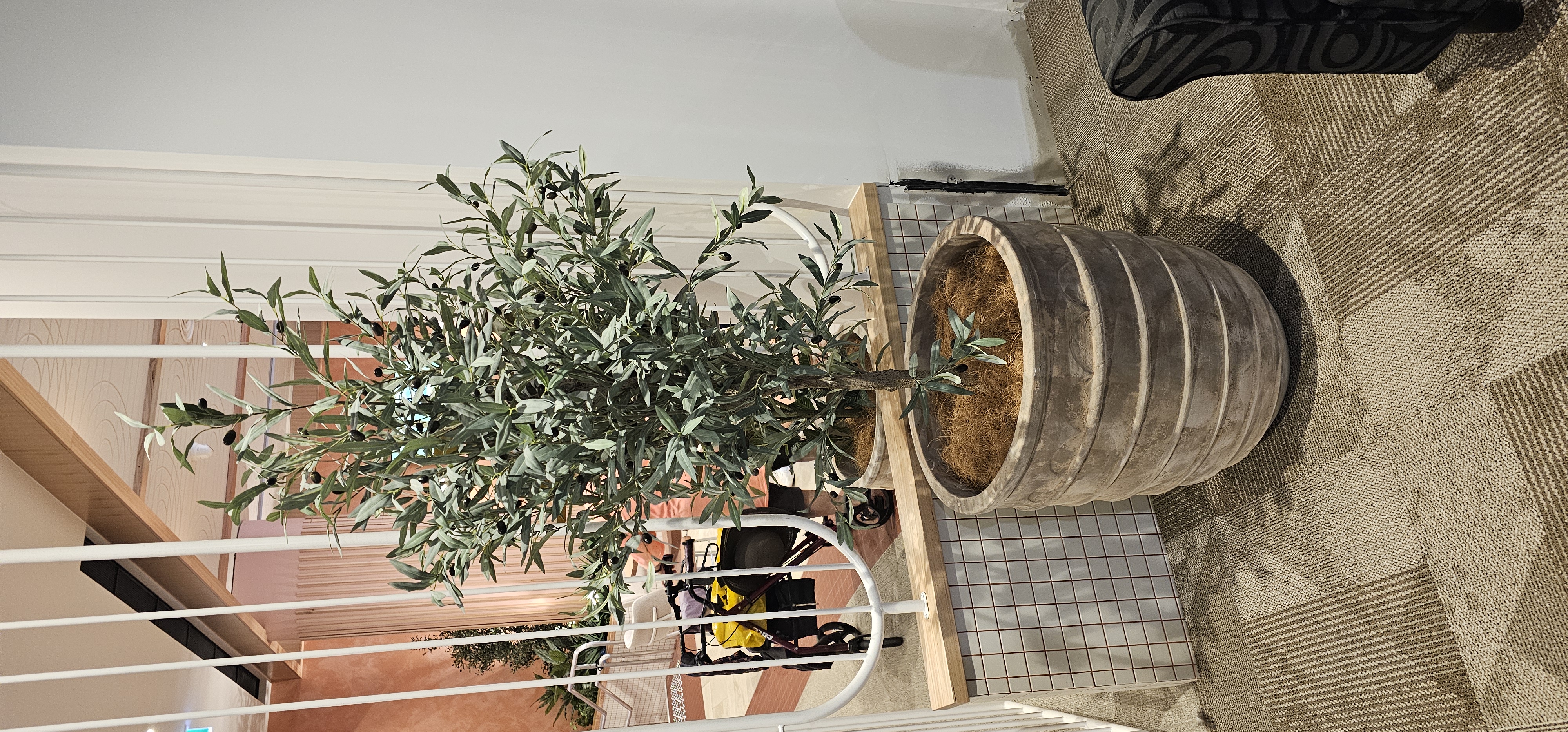 Olive Tree- deluxe 2.1m 