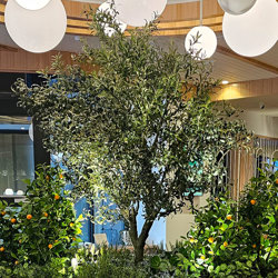 Fruit Tree- Cumquat 1.2m  - artificial plants, flowers & trees - image 3