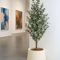 Eucalyptus 'Silver Gum' 1.8m   - artificial plants, flowers & trees - image 4