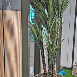 Yucca Tree- 1.8m with 4 heads - artificial plants, flowers & trees - image 4