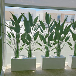 Trough Planters- with Bird-o-Paradise 1.75m tall  - artificial plants, flowers & trees - image 4