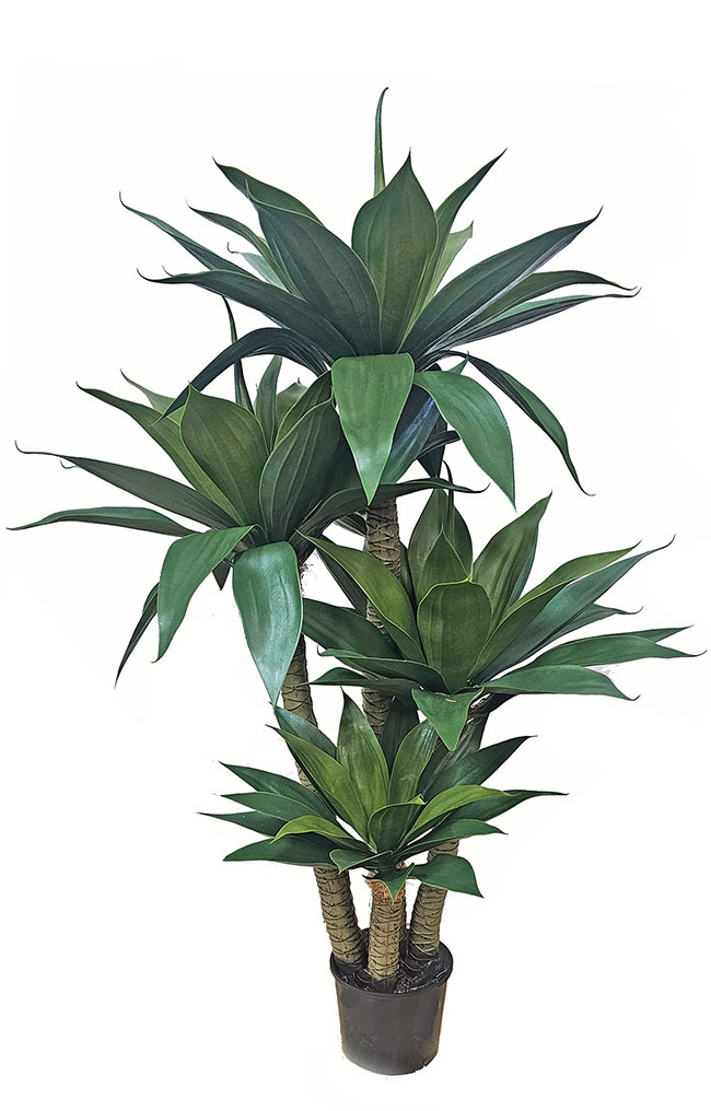 Agave Plant 1.4m with 4 heads UV