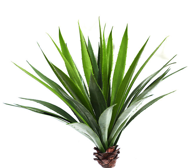 Agave- Spikey Agave Plant UV 1.3m with 4 heads 