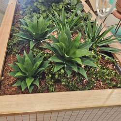 Agave UV- Lge [unpotted] - artificial plants, flowers & trees - image 1