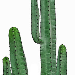 Cactii- Arizona Cactus 1.95m triple-stem - artificial plants, flowers & trees - image 1