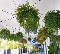 Tavern revamp gets a finishing-touch of green!