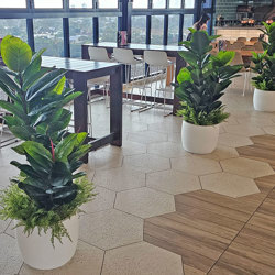 Rubber-Tree 1.3m - artificial plants, flowers & trees - image 2