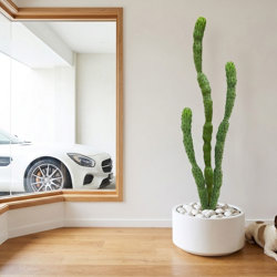 Cactii- Baja Cactus 1.9m triple-stem    - artificial plants, flowers & trees - image 3