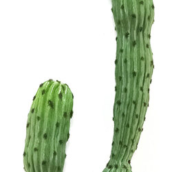 Cactii- Baja Cactus double-trunk 1.4m - artificial plants, flowers & trees - image 1