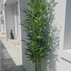 Bamboo UV-treated 1.8m - artificial plants, flowers & trees - image 1