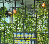 Modern Office...trending green