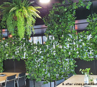 Modern Office...trending green