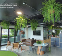 Modern Office...trending green