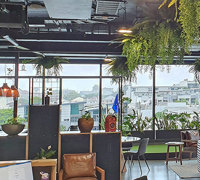 Modern Office...trending green