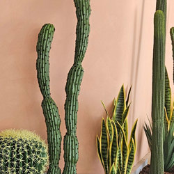 Sanseviera Plant 1m [mother-in-law-tongue] - artificial plants, flowers & trees - image 2