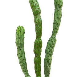 Cactii- Baja Cactus 1.9m triple-stem    - artificial plants, flowers & trees - image 3