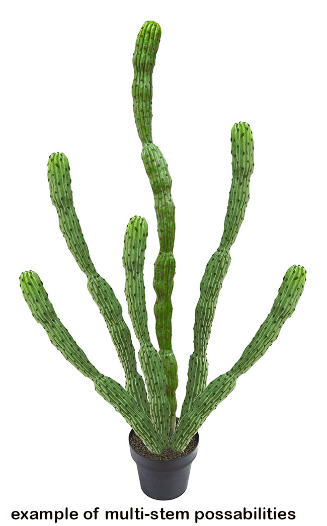 Cactii- Baja Cactus 1.9m triple-stem   