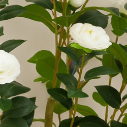 Camellia 1.2m white - artificial plants, flowers & trees - image 1