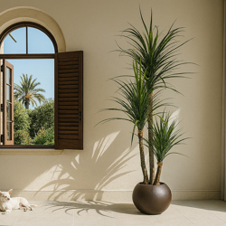 Ponytail Yucca 2m triple-stem - artificial plants, flowers & trees - image 3