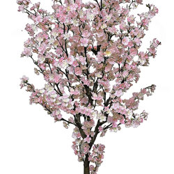 Cherry Blossom Tree 1.8m - artificial plants, flowers & trees - image 2