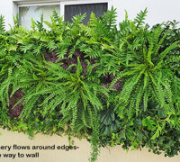 Domestic Pool Area improved by soft Green-Wall