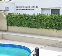 Domestic Pool Area improved by soft Green-Wall
