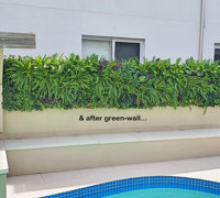 Domestic Pool Area improved by soft Green-Wall