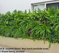 Domestic Pool Area improved by soft Green-Wall