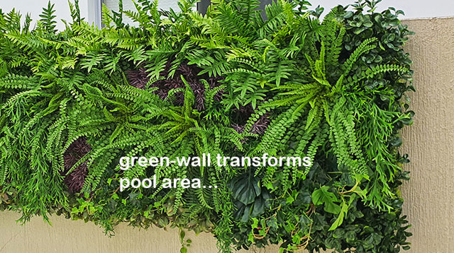 Domestic Pool Area improved by soft Green-Wall