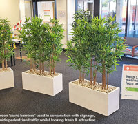 'Covid-Barriers'...fresh-looking green partitions to direct & screen...