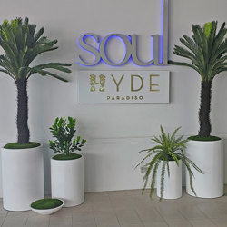 Cycad Palm 2m - artificial plants, flowers & trees - image 6