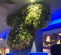 Gaming-Rooms made more inviting & social distancing compliant with a little Green Help...