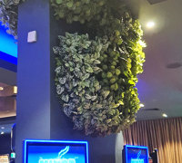 Gaming-Rooms made more inviting & social distancing compliant with a little Green Help...