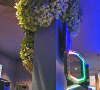 Gaming-Rooms made more inviting & social distancing compliant with a little Green Help...