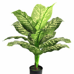 Diefenbachia Plant 90cm - artificial plants, flowers & trees - image 2