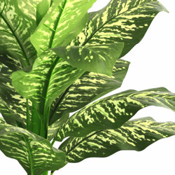 Diefenbachia Plant 90cm - artificial plants, flowers & trees - image 1
