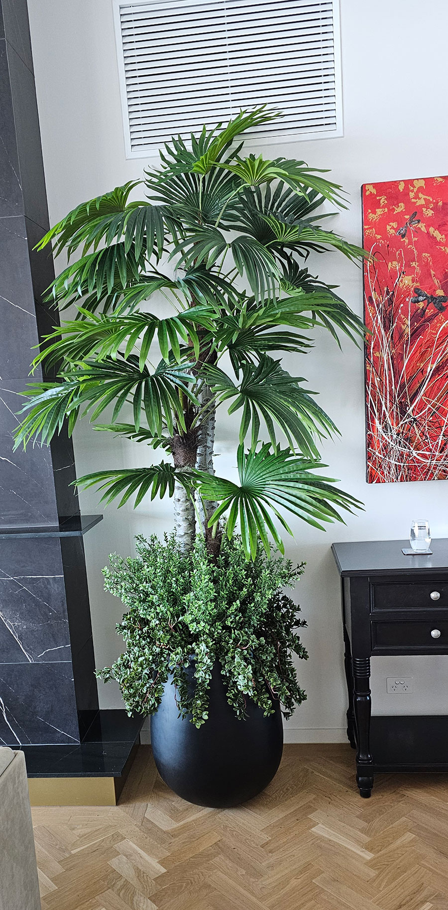 Fan Palm 2.4m [lge foliage]