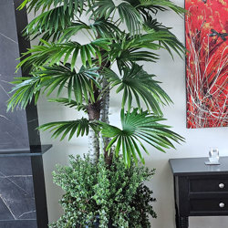 Fan Palm 2.4m [lge foliage] - artificial plants, flowers & trees - image 1