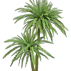 Fern Palm 1.6m dbl-stem  - artificial plants, flowers & trees - image 1