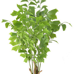 Fish-Tail Palms 1.5m  - artificial plants, flowers & trees - image 2