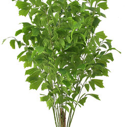 Fish-Tail Palm 2.1m - artificial plants, flowers & trees - image 4