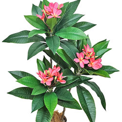 Franjipani- pink flowers 90cm  - artificial plants, flowers & trees - image 3