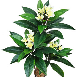 Franjipani- yellow/white flowers 90cm - artificial plants, flowers & trees - image 2
