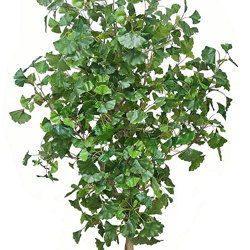 Gingko Tree 1.8m - artificial plants, flowers & trees - image 4